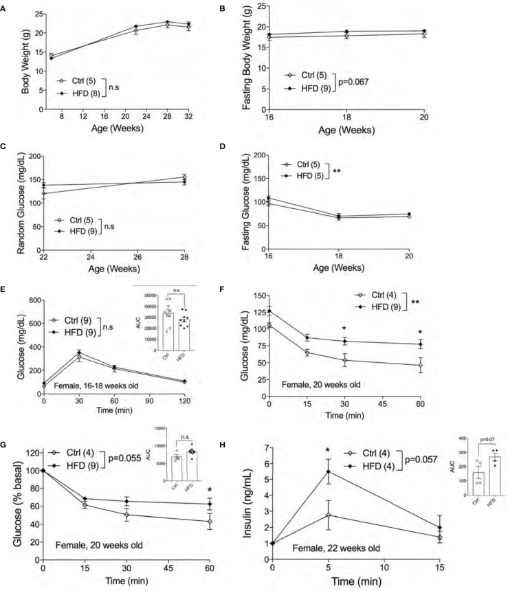 Figure 4