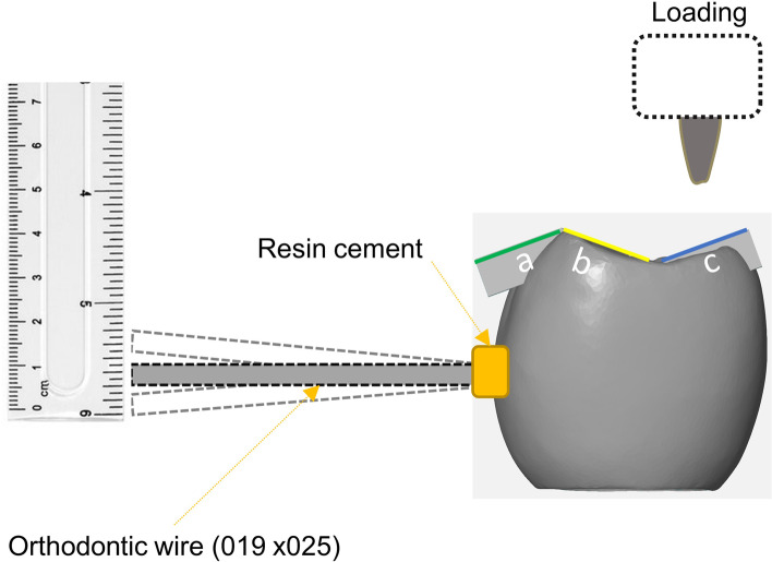 Fig. 2