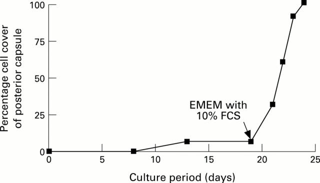 Figure 6  