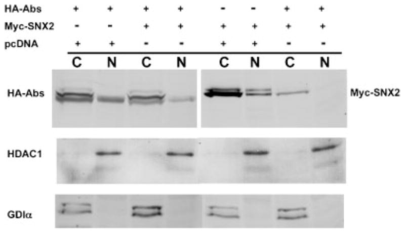 Fig. 5