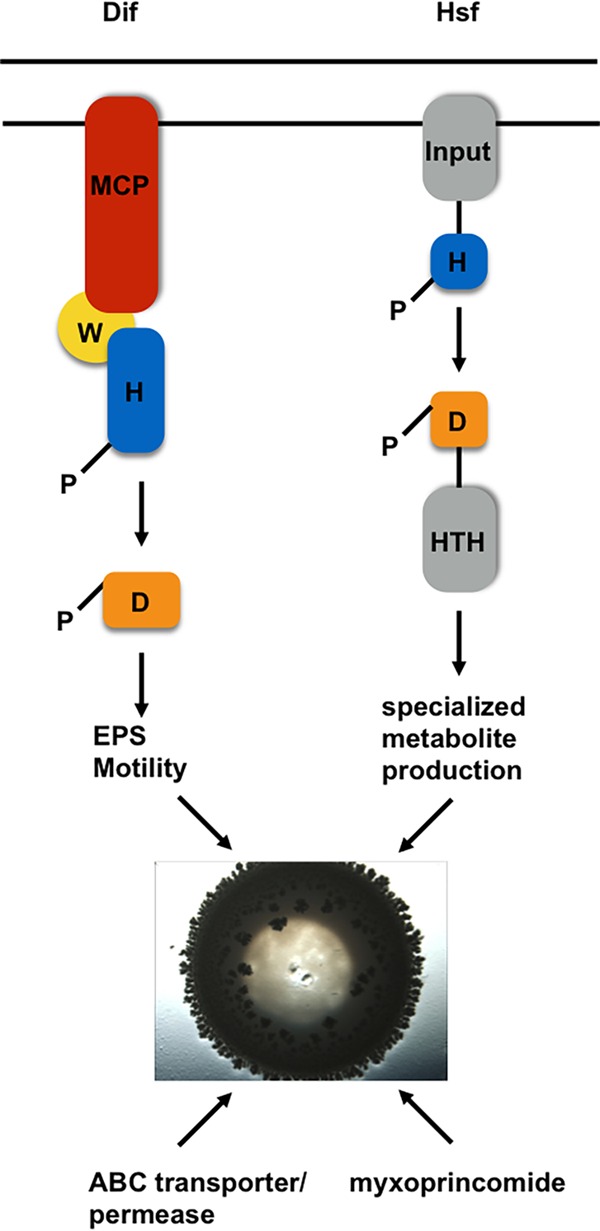 FIG 4