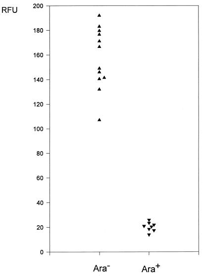 FIG. 1