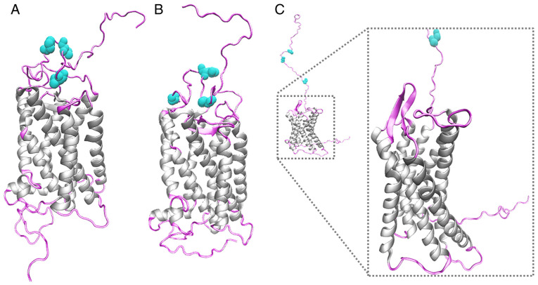 Figure 5.