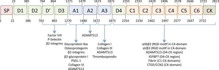 Fig. 1