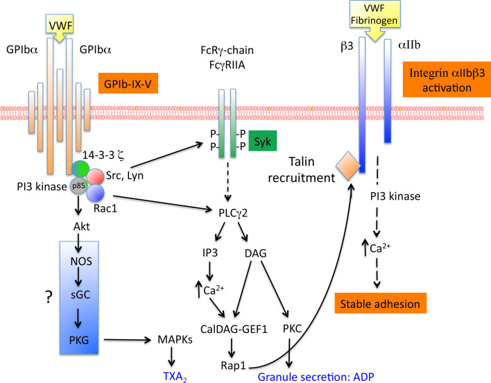 Fig. 3