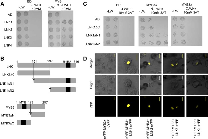 Figure 2.