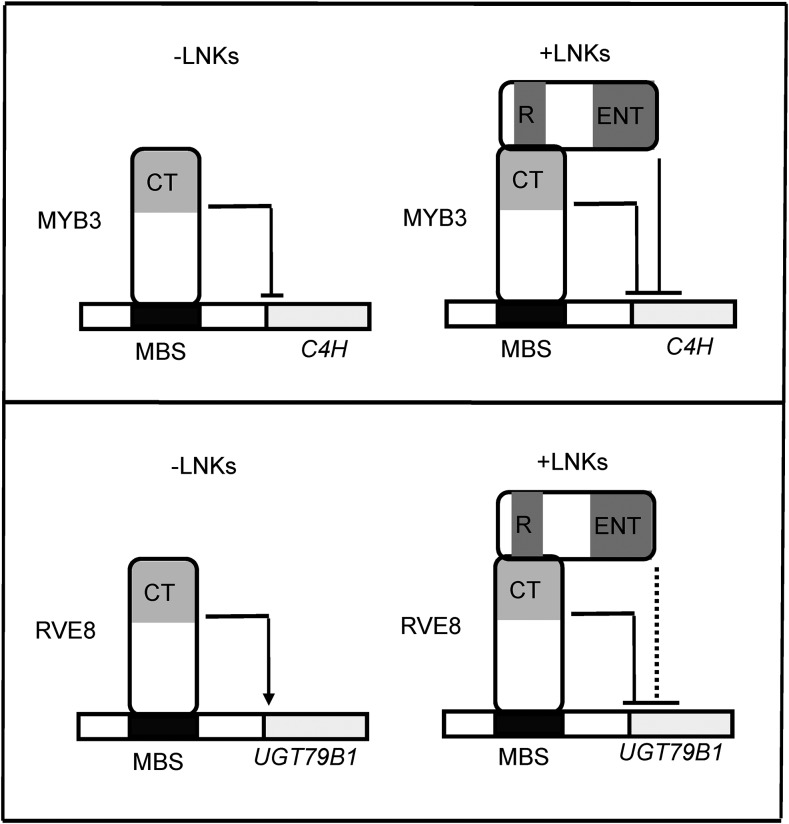 Figure 7.