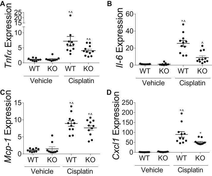 Fig. 3