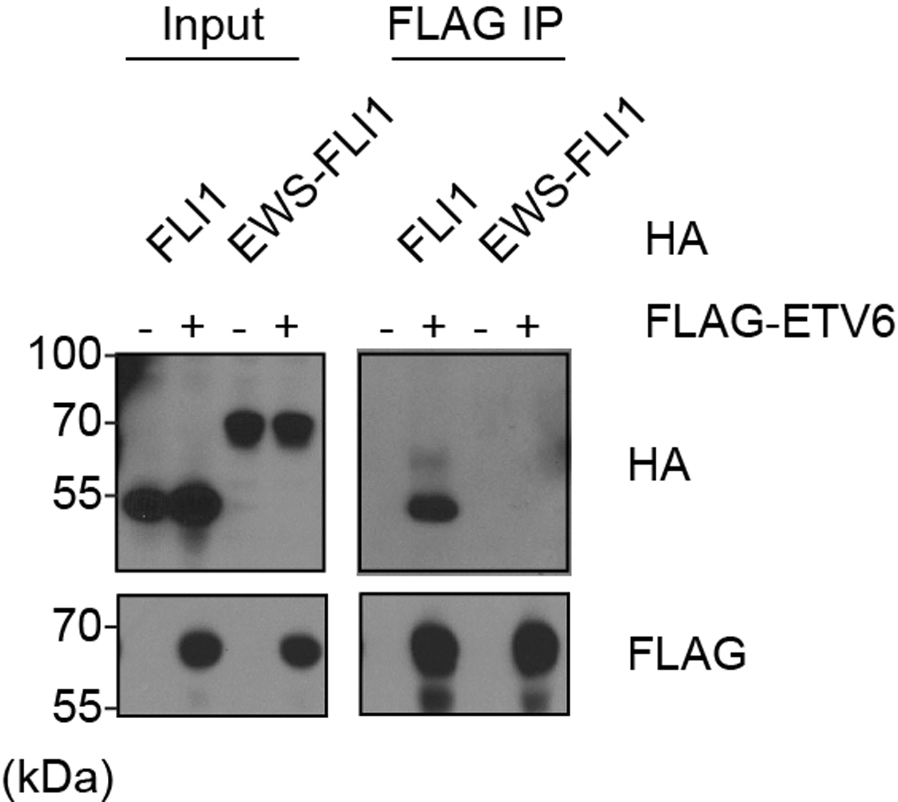 Extended Data Fig. 8 |