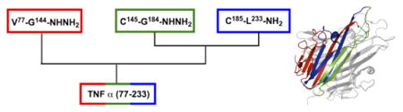 graphic file with name nihms789374u1.jpg