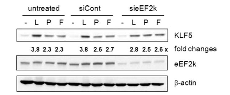 Figure. 9