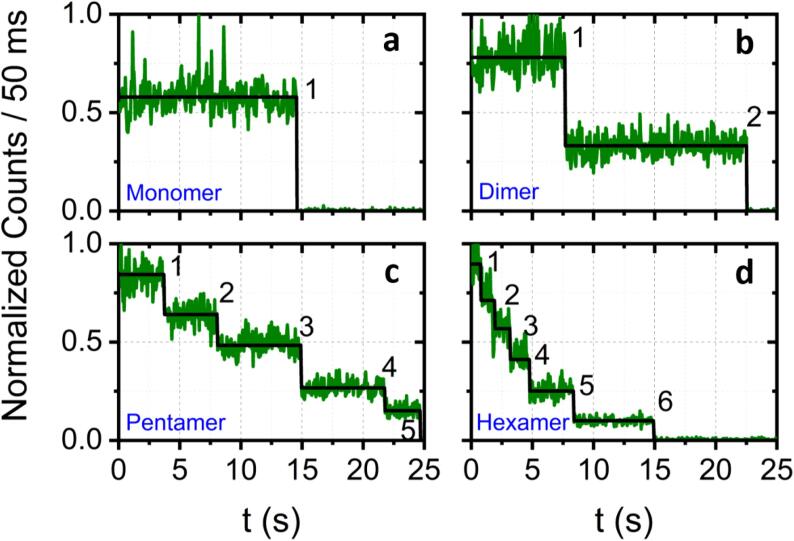 Fig. 10