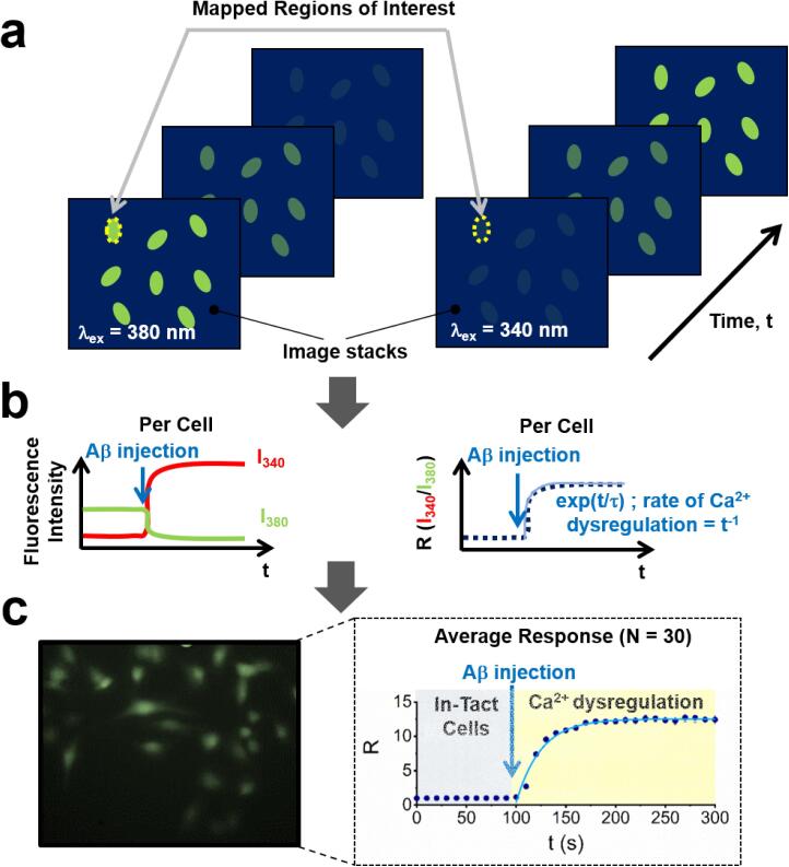 Fig. 13