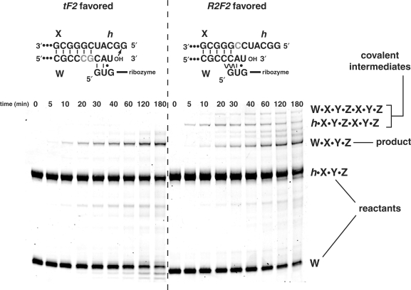 Figure 3.