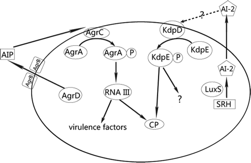 FIG. 7.