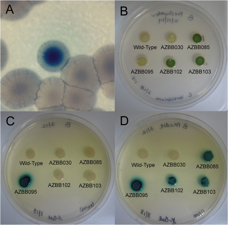 FIG 3