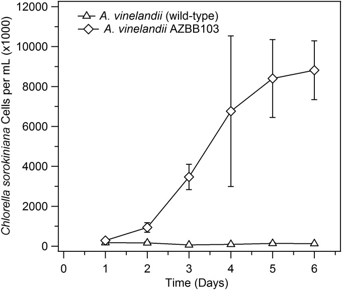 FIG 6