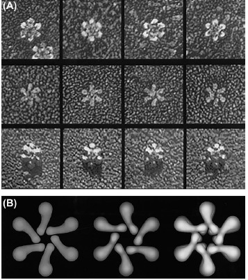 Fig. 3