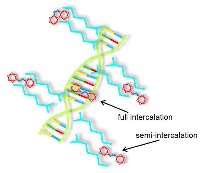 Figure 21