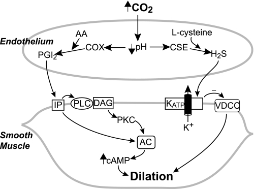 Fig. 10.