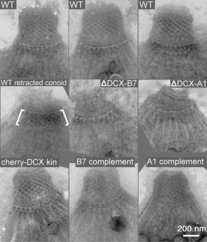 FIGURE 9: