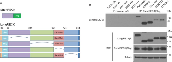 FIGURE 5: