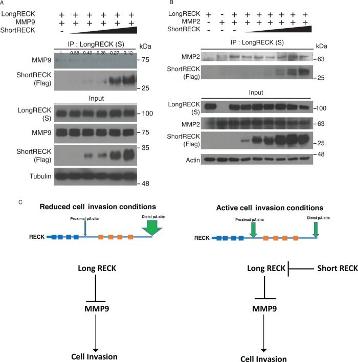 FIGURE 6: 