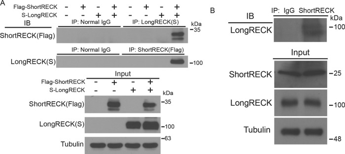 FIGURE 3: