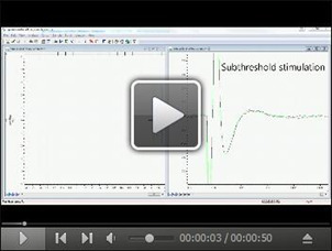 Video 1.