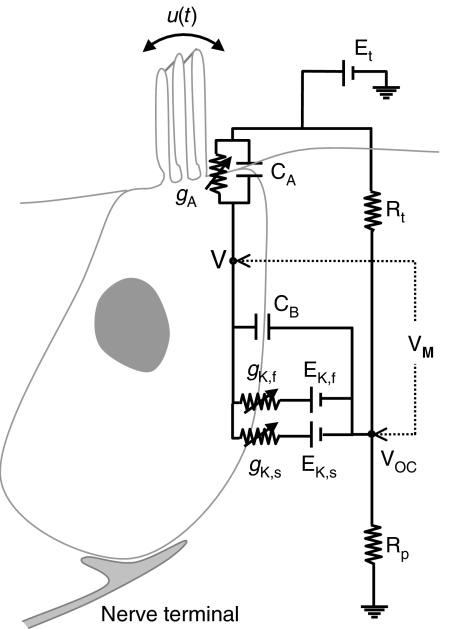 Fig. 1