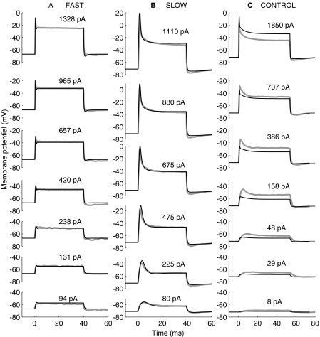 Fig. 3