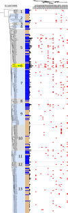 FIG 1