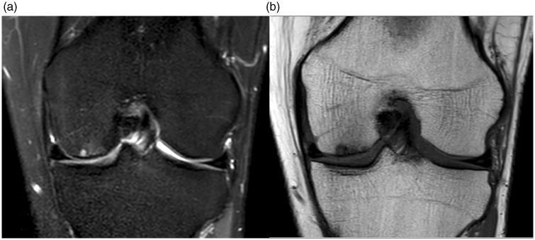 Fig. 9.