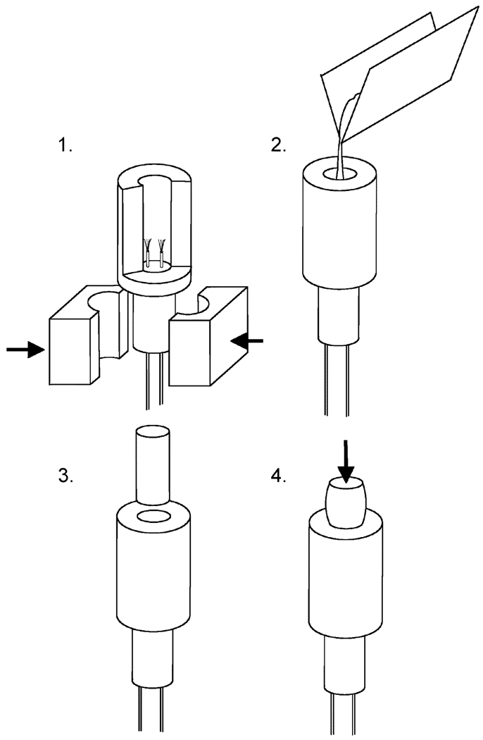 Fig. 2