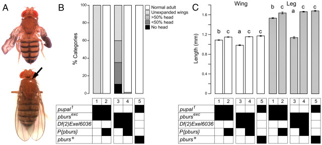 Figure 10.