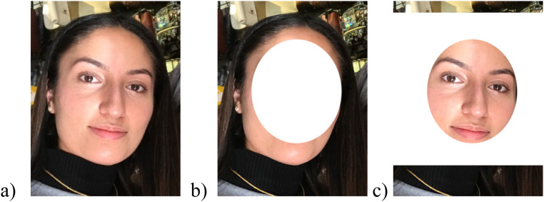 Figure 1.