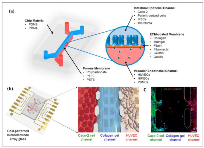 Figure 12