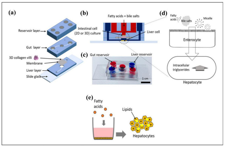 Figure 14