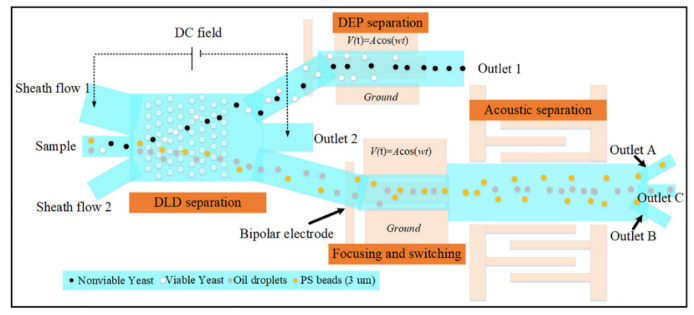 Figure 9