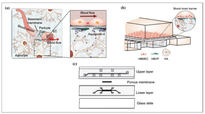 Figure 15