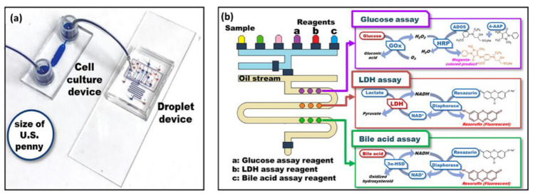 Figure 19