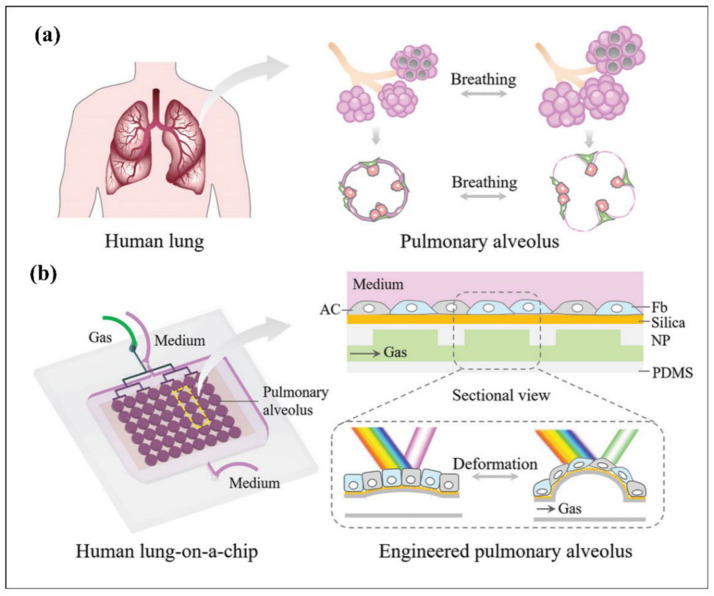 Figure 18