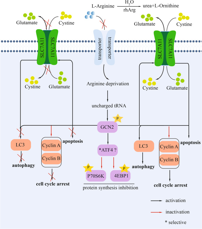 Fig. 6