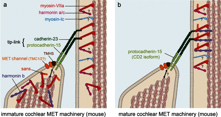 Fig. 5