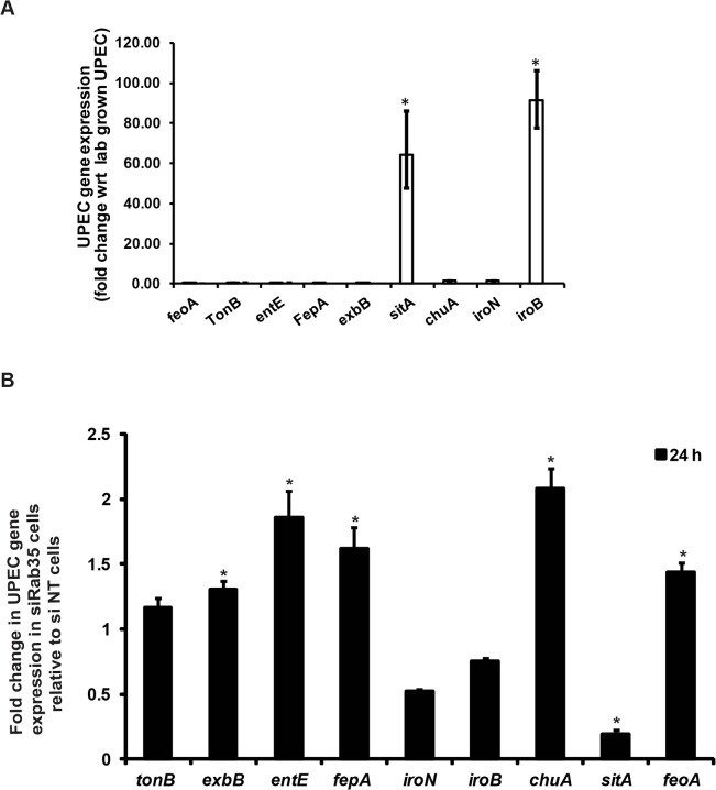 Fig 6