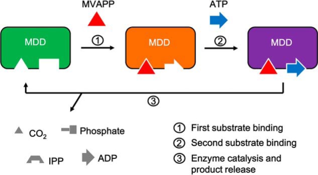 Figure 7.