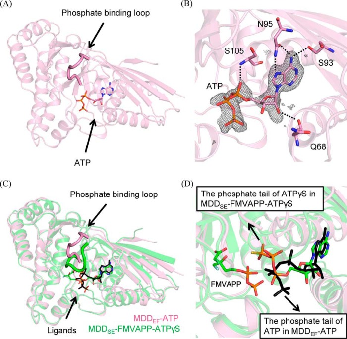 Figure 3.