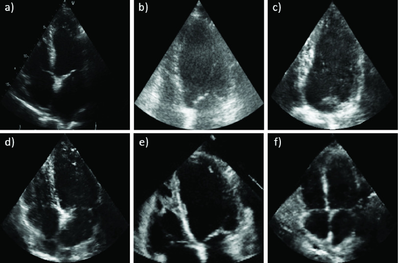 Fig. 5.