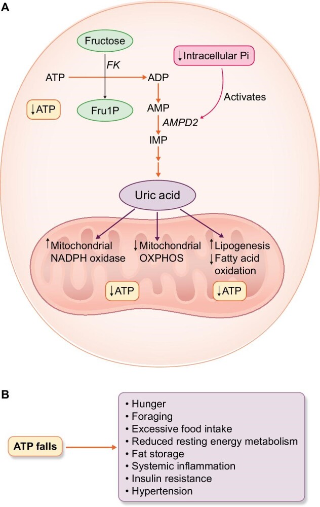 Figure 1: