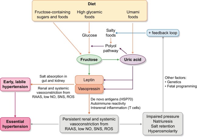 Figure 2: